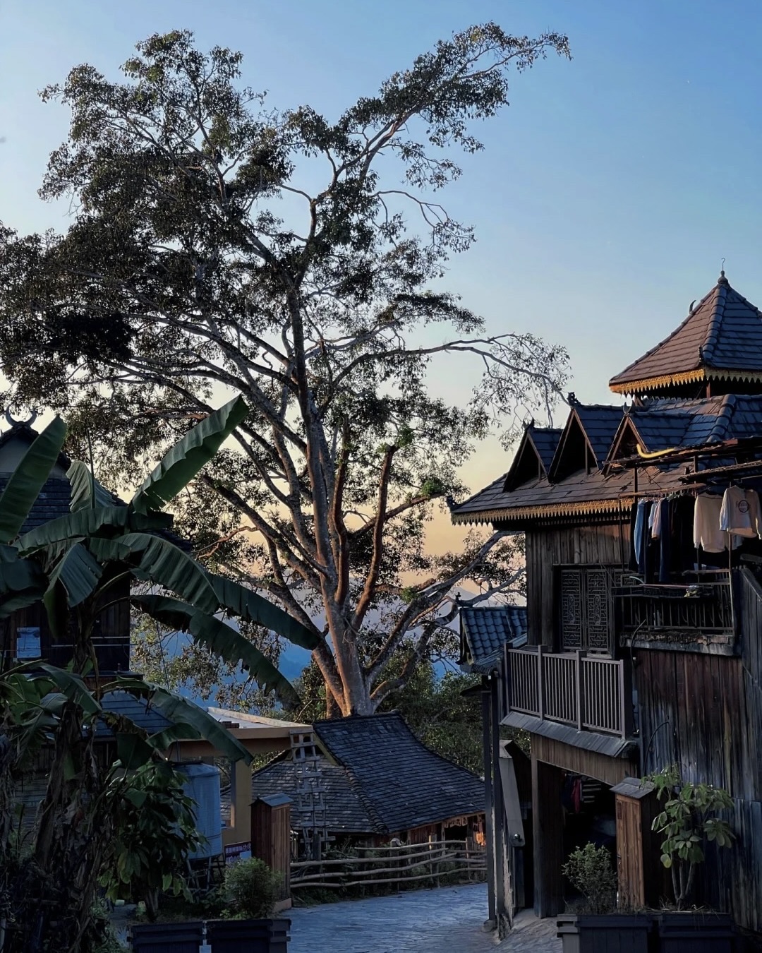 Jingmai Mountain