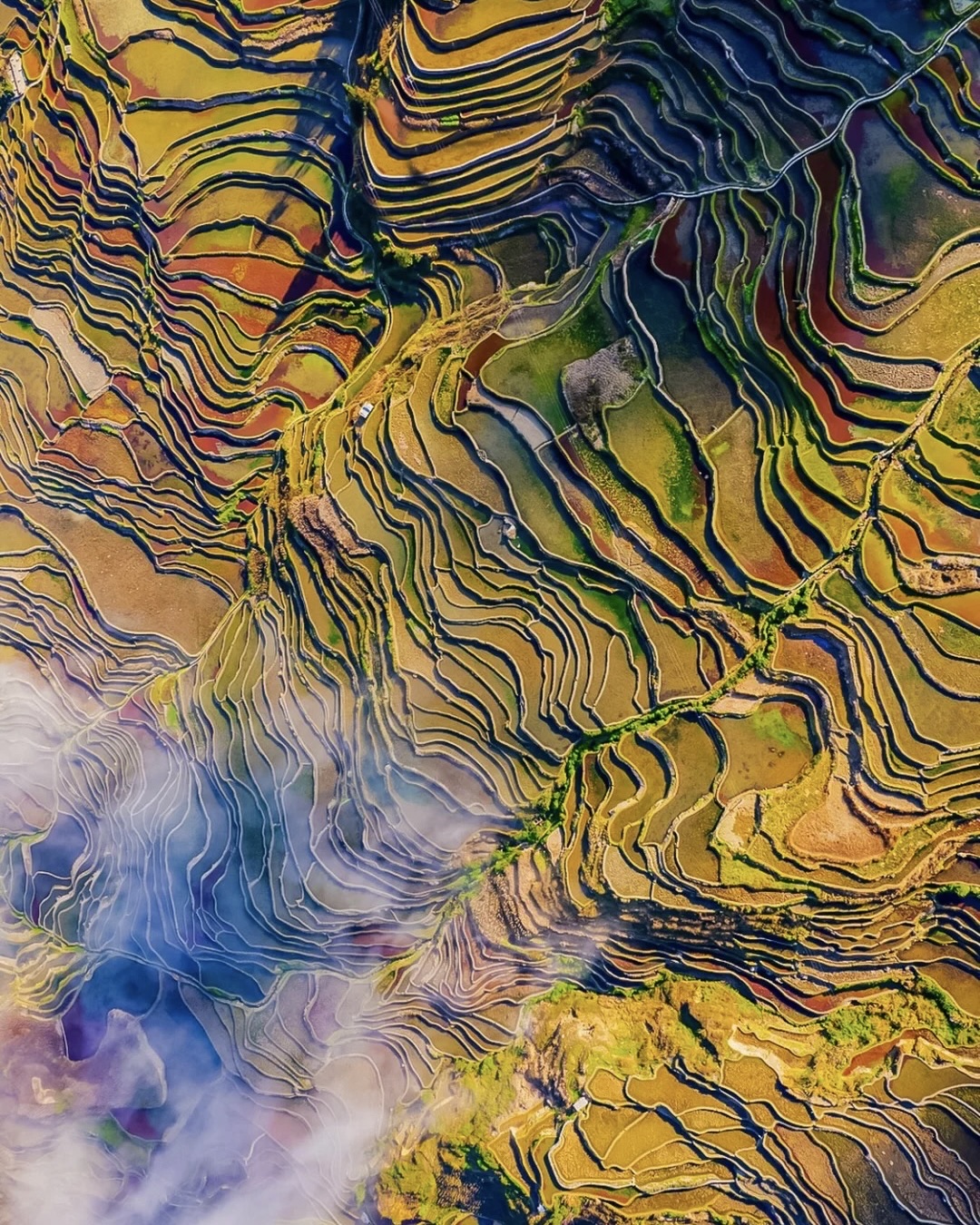 Yuanyang