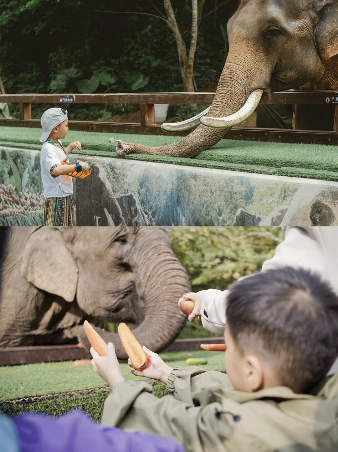 A child in Dai costume hand-feeding an elephant in Xishuangbanna — the family-trip moment kids actually remember